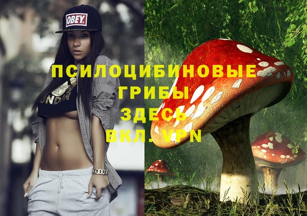 прущий лед Рославль