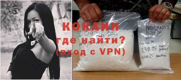 индика Заводоуковск
