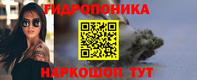 прущие грибы Волгодонск