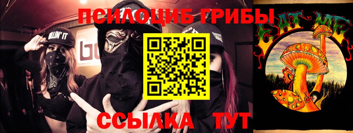 Псилоцибиновые грибы Cubensis Гуково